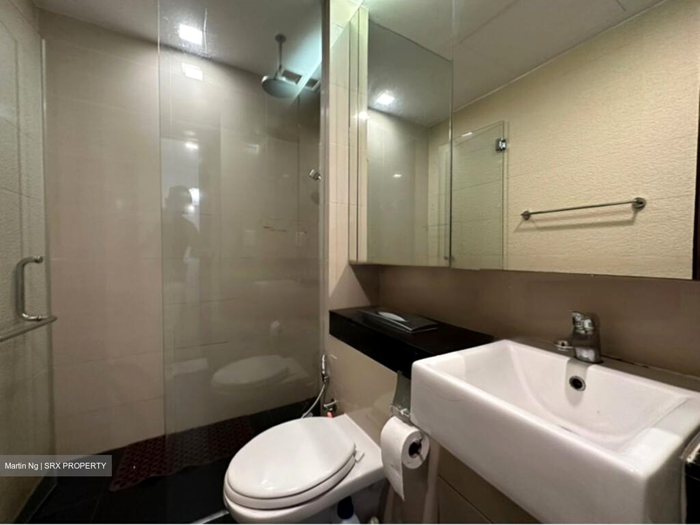 Bliss Residences (D14), Apartment #460219161